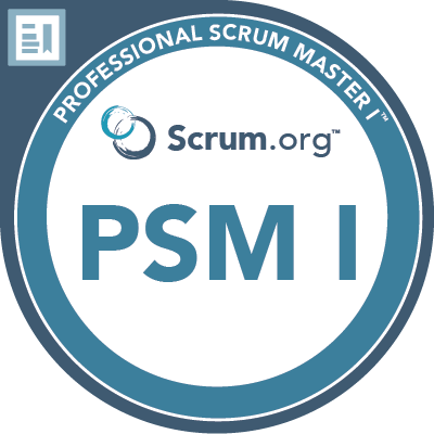 Professional Scrum Master